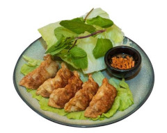 Produit Ravioli gyoza au poulet